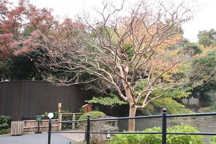 ホテル椿山荘東京　ムーミン