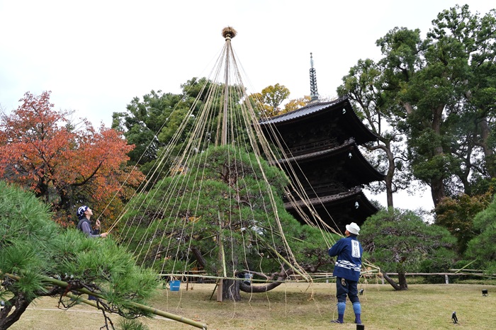 ホテル椿山荘東京　ムーミン