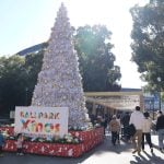 BALLPARK Xmas YOKOHAMA KANNAI 2025