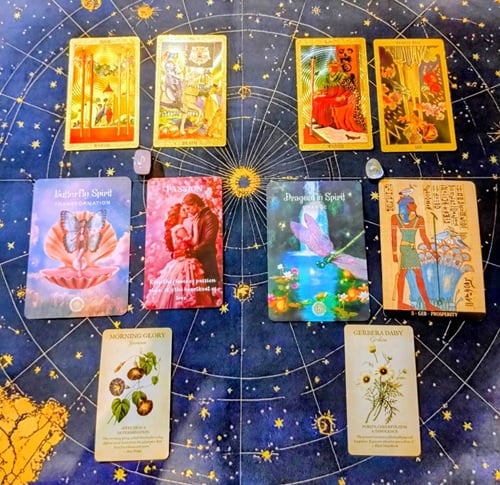 2026年アヤパン花占い1月　センリョウ