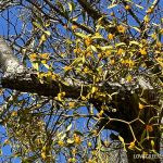 b3da6406d9d8ba61d9a4ab9a26572e