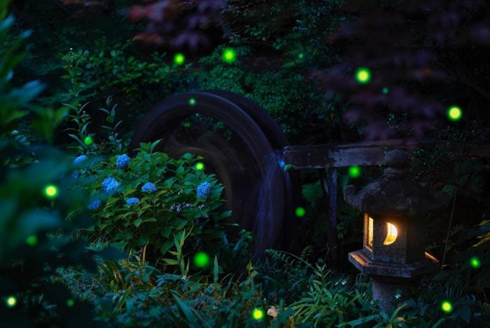 ホテル椿山荘東京　ムーミン