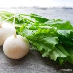 かぶの葉のレシピ