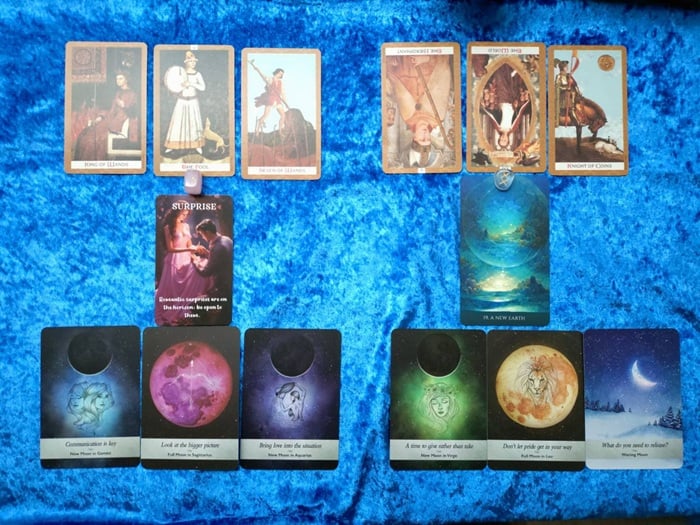 アヤパンの花占い ウメ