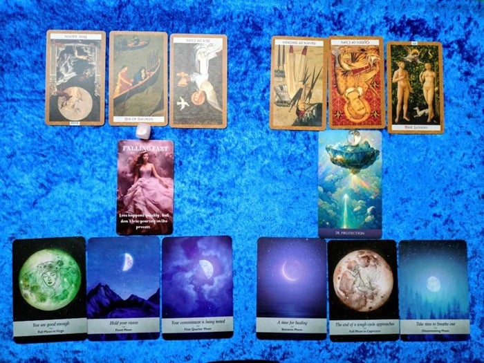 アヤパンの花占い フクジュソウ