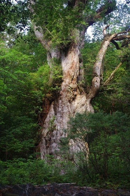 二宮さん連載写真
