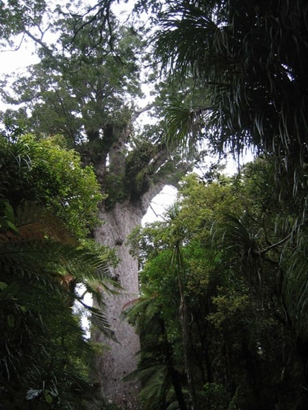 二宮さん連載写真