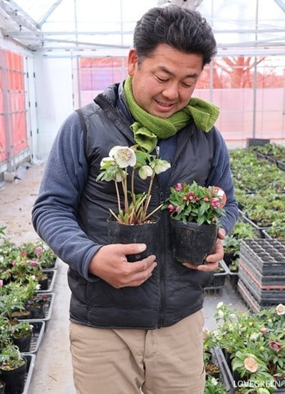 横山園芸さん　クリスマスローズ