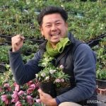 横山園芸さん クリスマスローズ