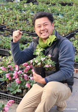 横山園芸さん　クリスマスローズ