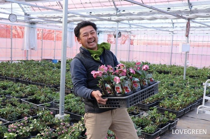 横山園芸さん　クリスマスローズ