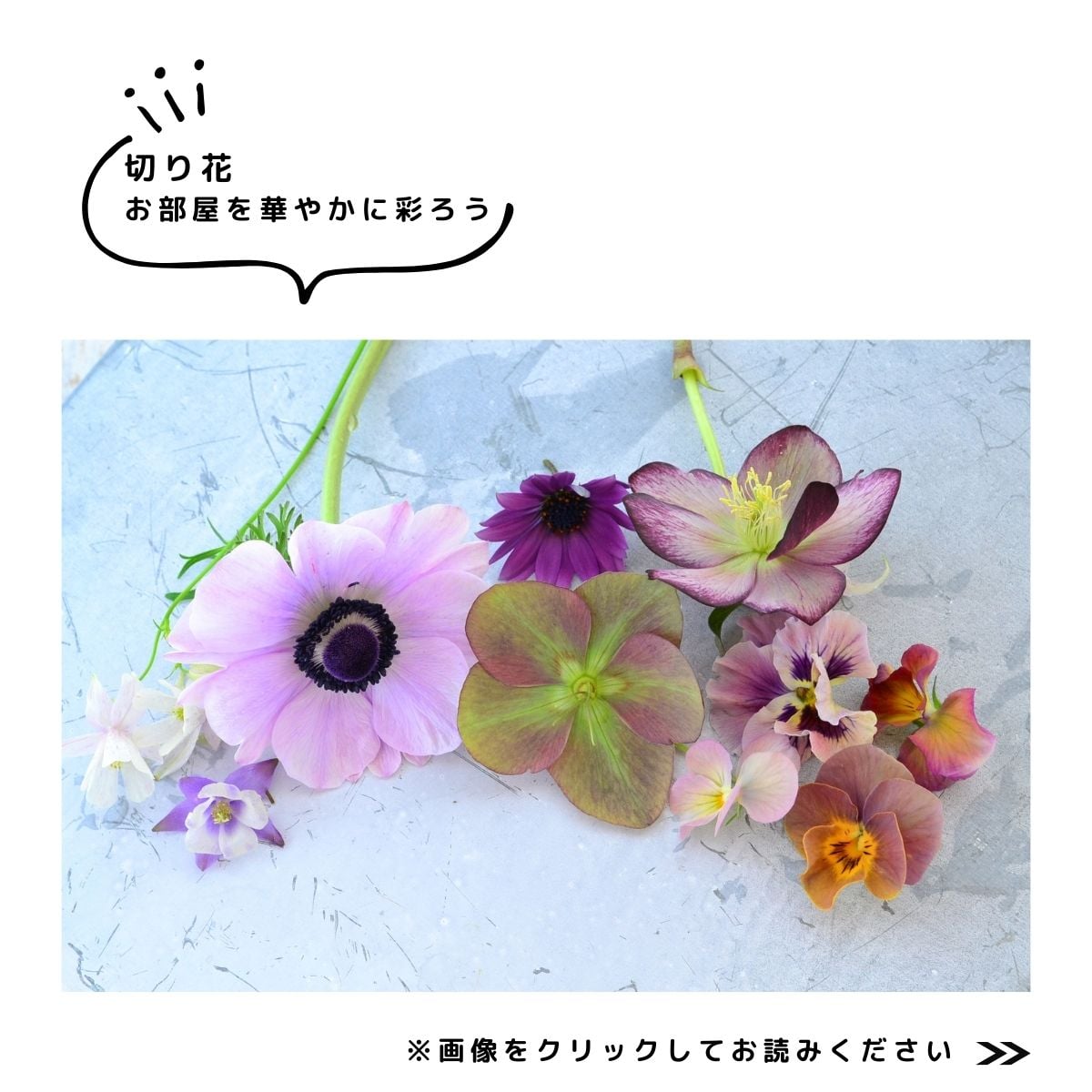 クリスマスローズを生ける