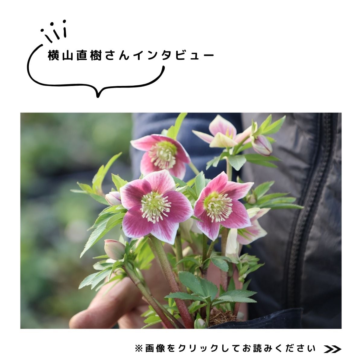 ボタニカルピープル横山直樹さん