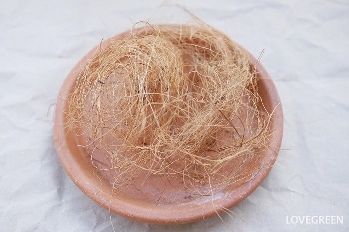 ココナッツファイバー（ココヤシファイバー）