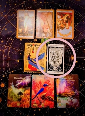 アヤパン運勢占い