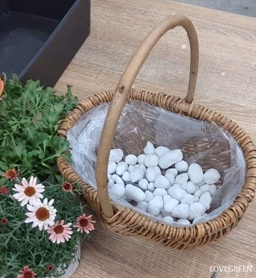 プロトリーフ二子玉川本店