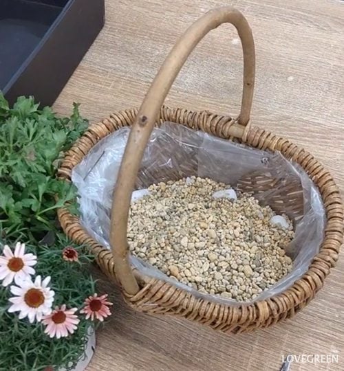 プロトリーフ二子玉川本店