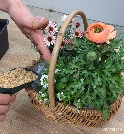 プロトリーフ二子玉川本店