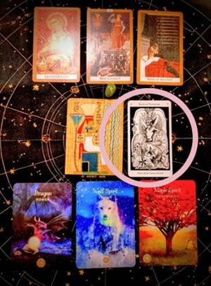 アヤパン運勢占い