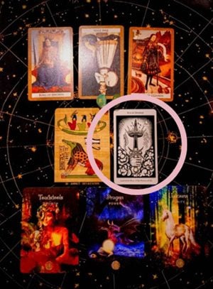 アヤパン運勢占い