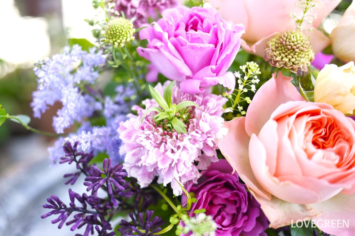 切り花を楽しむテクニック一覧|毎日花のある暮らし