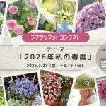 フォトコンテンスト　ラブグリフォトコン2026