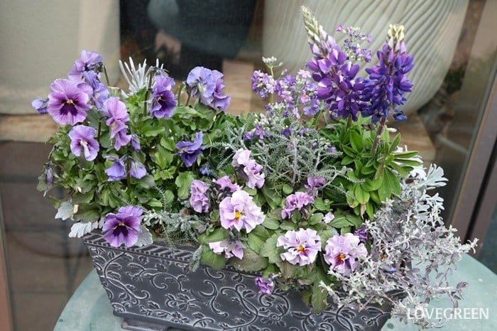 プロトリーフ二子玉川本店