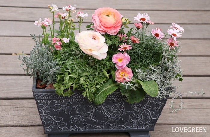 プロトリーフ二子玉川本店