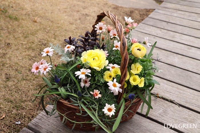 プロトリーフ二子玉川本店