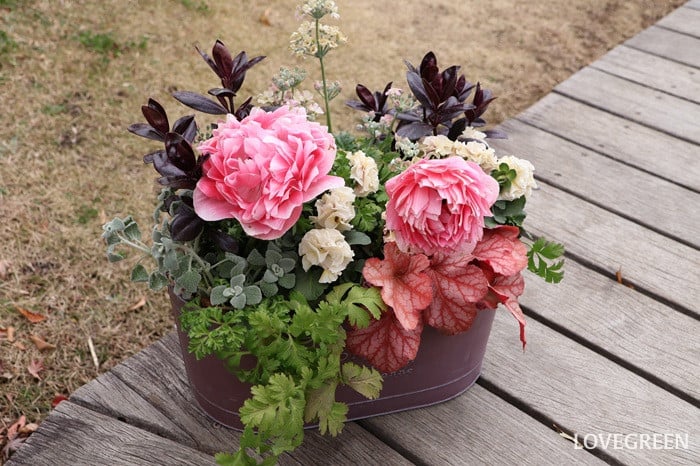 プロトリーフ二子玉川本店