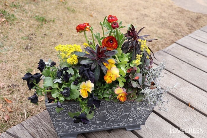 プロトリーフ二子玉川本店