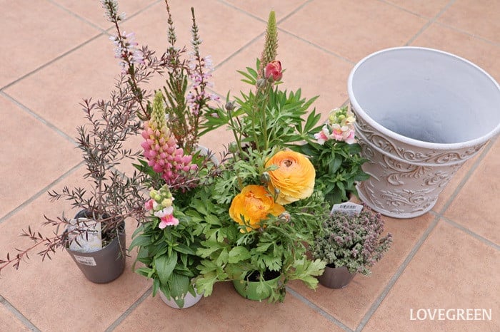 プロトリーフ二子玉川本店