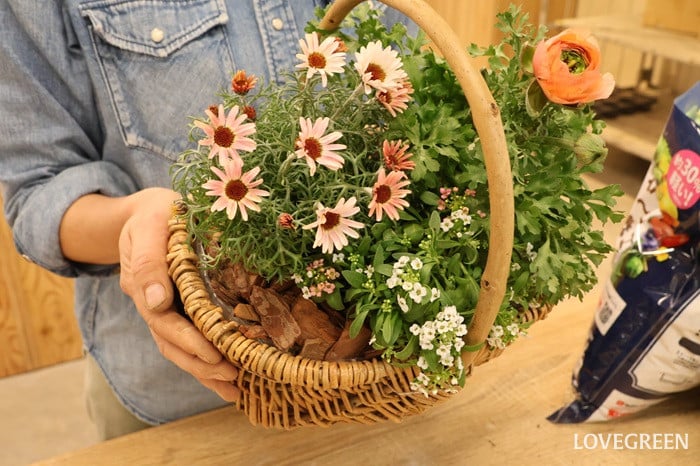 プロトリーフ二子玉川本店