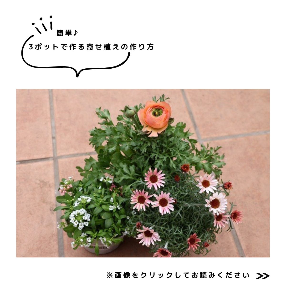 春の庭始め特集