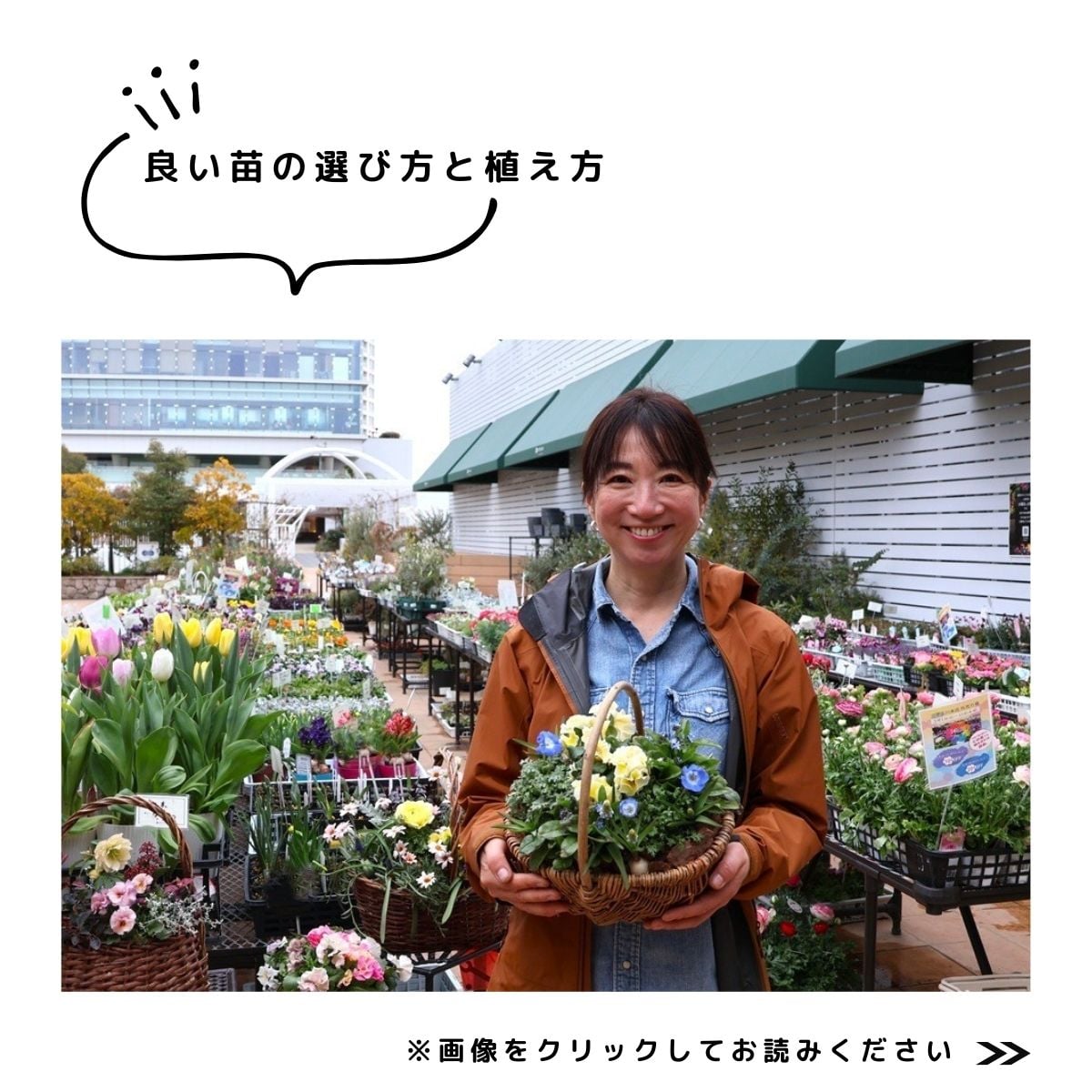 春の庭はじめ特集