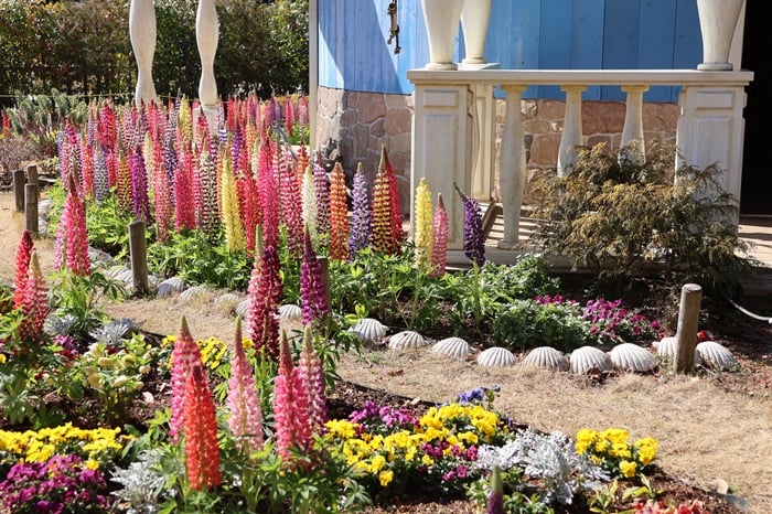 ムーミンバレーパーク