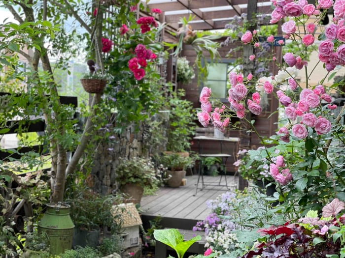 あの人の庭　中本由紀さん