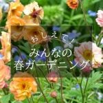 みんなの春ガーデニング特集2026.3.25