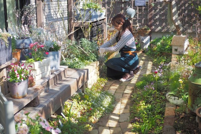 あの人の庭　中本由紀さん