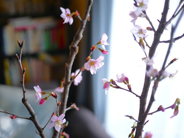 桜の飾り方