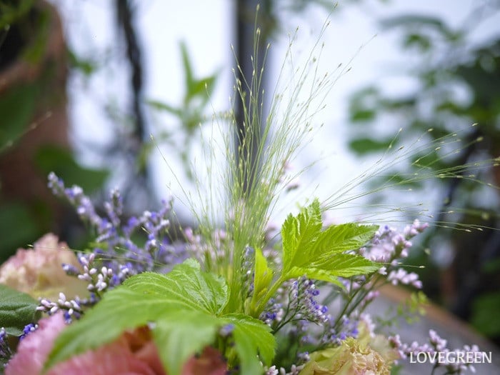 スモークグラス