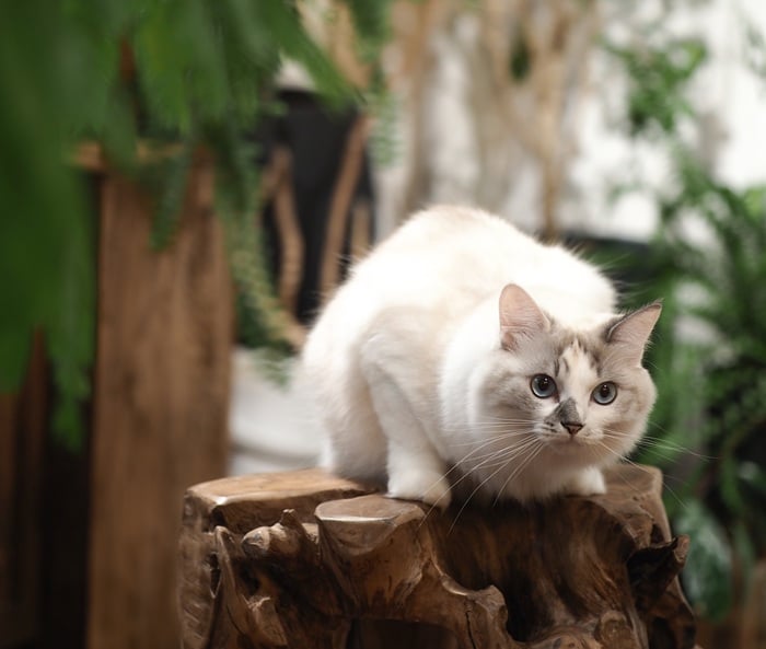 イエソト空間の達人たち＿このやさん
