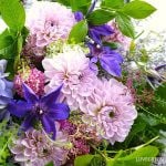 5月・6月花屋さん