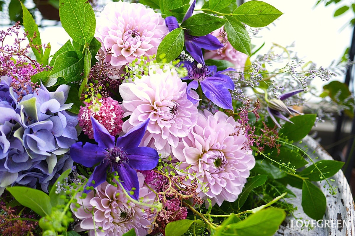 5月、6月の花屋さんに行こう! 初夏の花の飾り方と長く楽しむコツ
