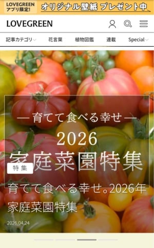 アプリ見本