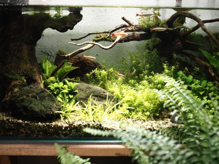 イエソト空間の達人たち＿このやさん