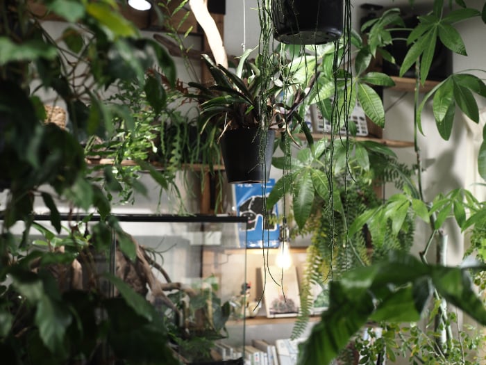 イエソト空間の達人たち＿このやさん