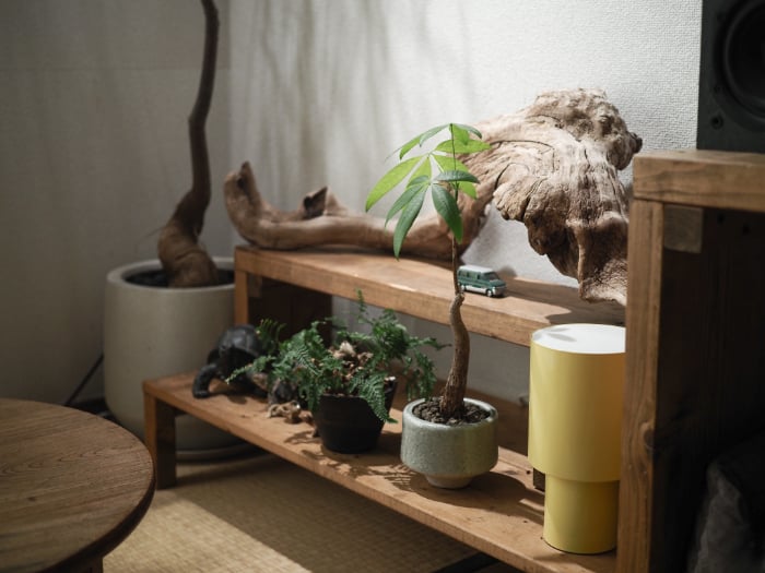 イエソト空間の達人たち＿このやさん