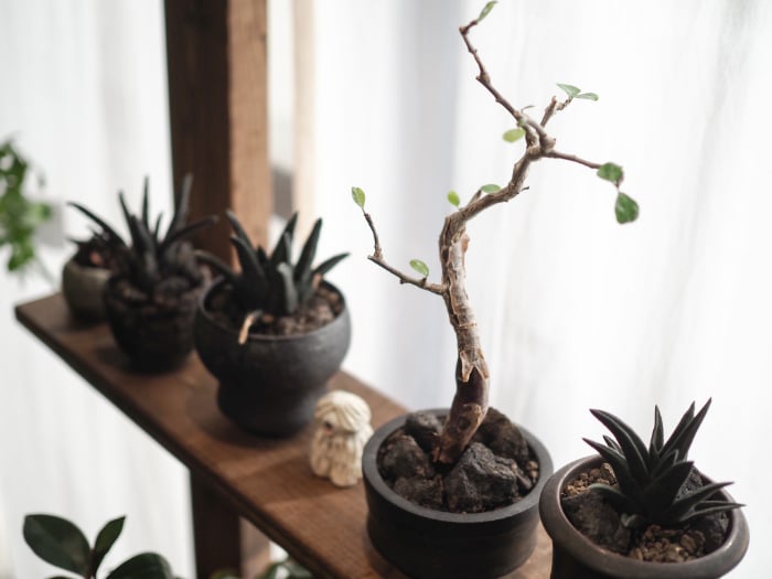 イエソト空間の達人たち＿このやさん