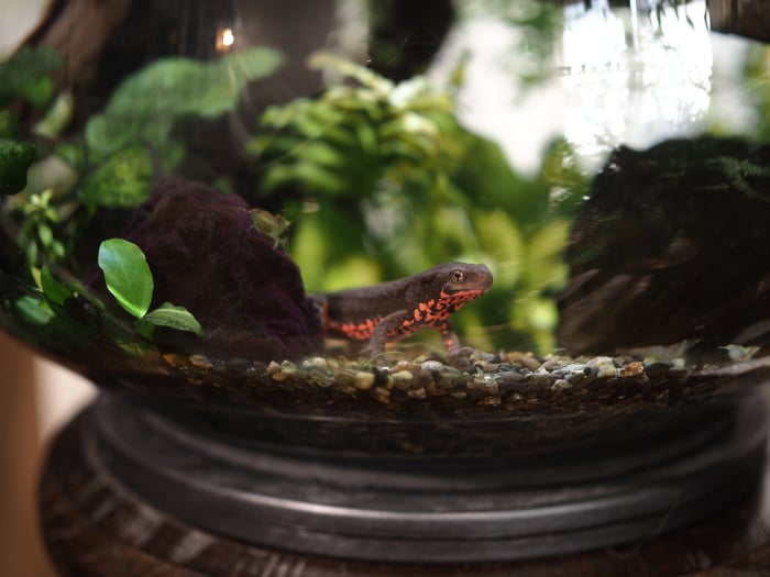 イエソト空間の達人たち＿このやさん